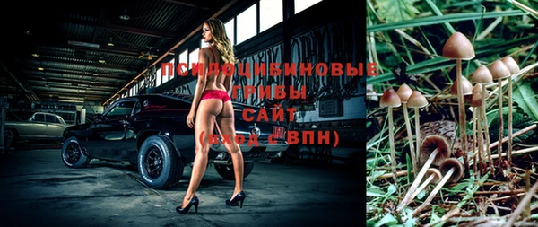 Альфа ПВП Бугульма