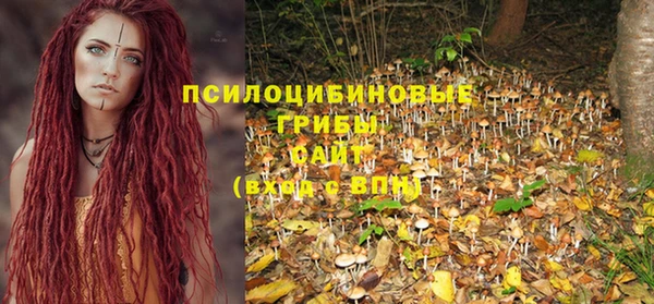 дживик Верея