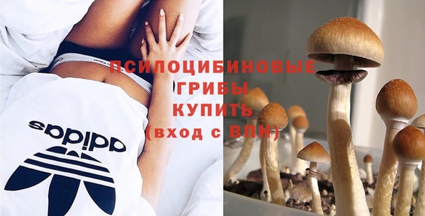 дживик Верея