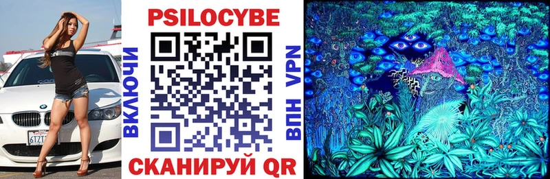 Псилоцибиновые грибы Cubensis  Вятские Поляны 